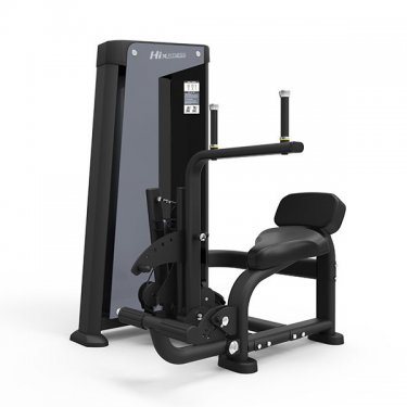 Back Extension/Abdominal