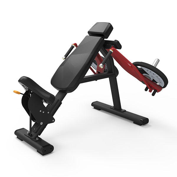 Mosca de pecho inclinado