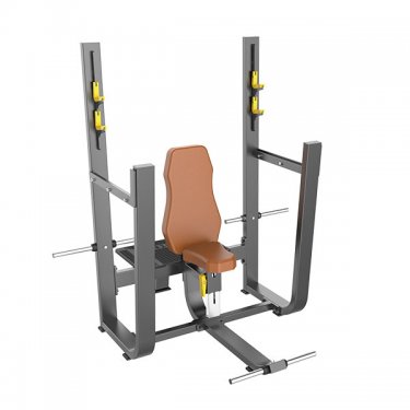 Olympic Vertical Bench
