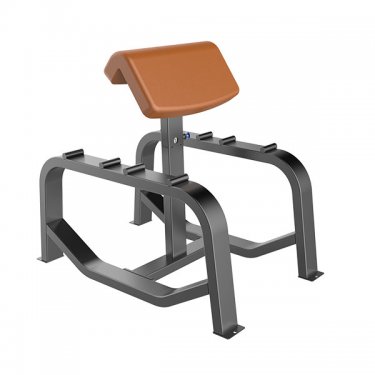 Dual Function Preacher Curl