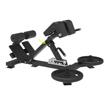 Adjustable Back Extension