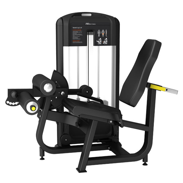 Seated Leg Curl