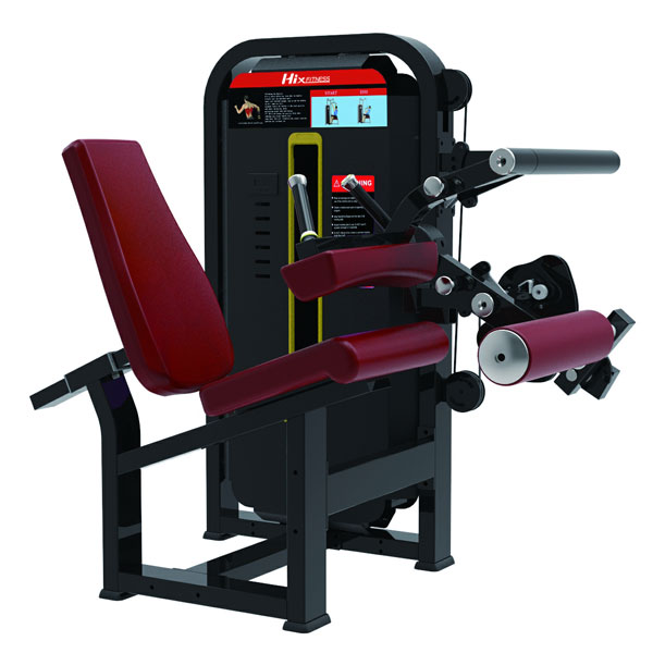 Curl des jambes assises