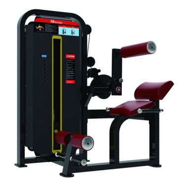 Back Extension/Abdominal Machine