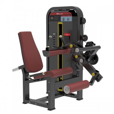 Seated Leg Curl/Leg Extension