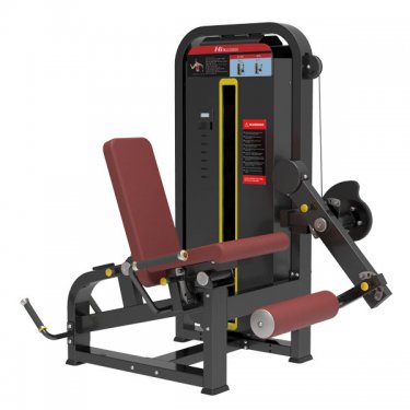 Prone Leg Curl/ Leg Extention