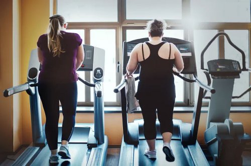 Fitness equipment to reduce belly fat