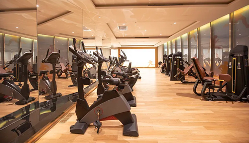 How Guangzhou Gym Equipment Helps Commercial Gyms Improve Member Experience