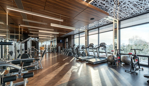 Strength vs. Cardio: How to Balance Gym Equipment for Every Member Type