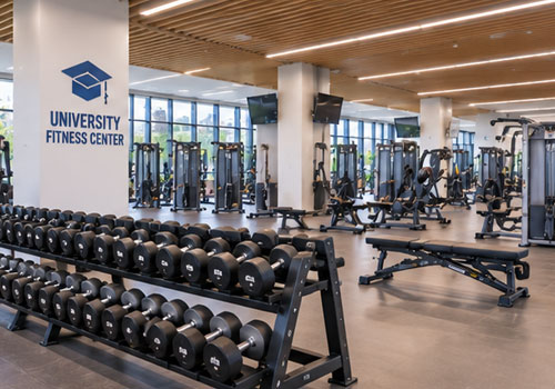 Equipamiento Esencial para un Gimnasio Universitario Moderno